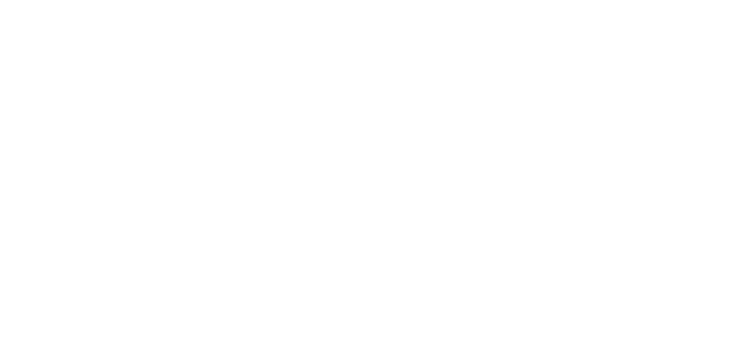 2. LOGO HORIZONTAL